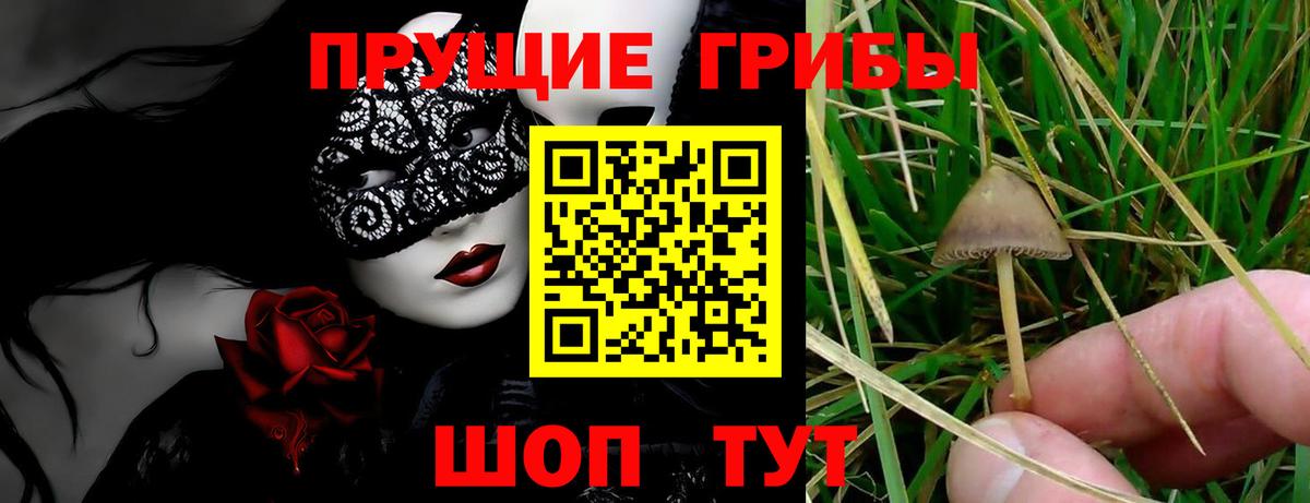 Псилоцибиновые грибы Magic Shrooms  Вход с VPN  Сыктывкар  Галлюциногенные грибы мухоморы 